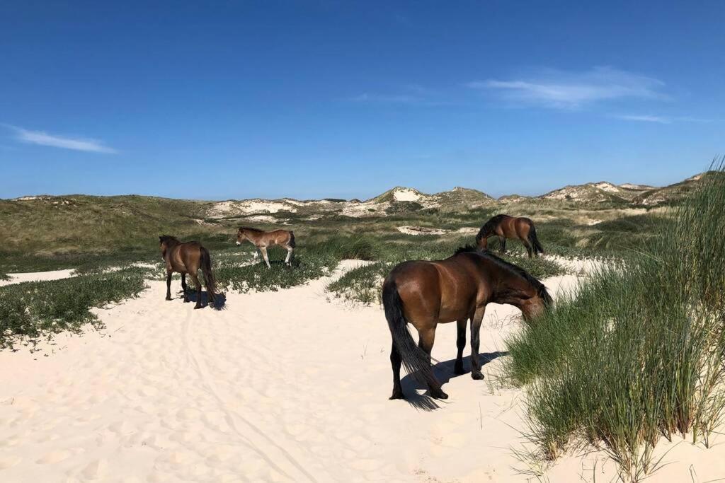 Villa Klein Geluk Egmond aan Zee Eksteriør bilde
